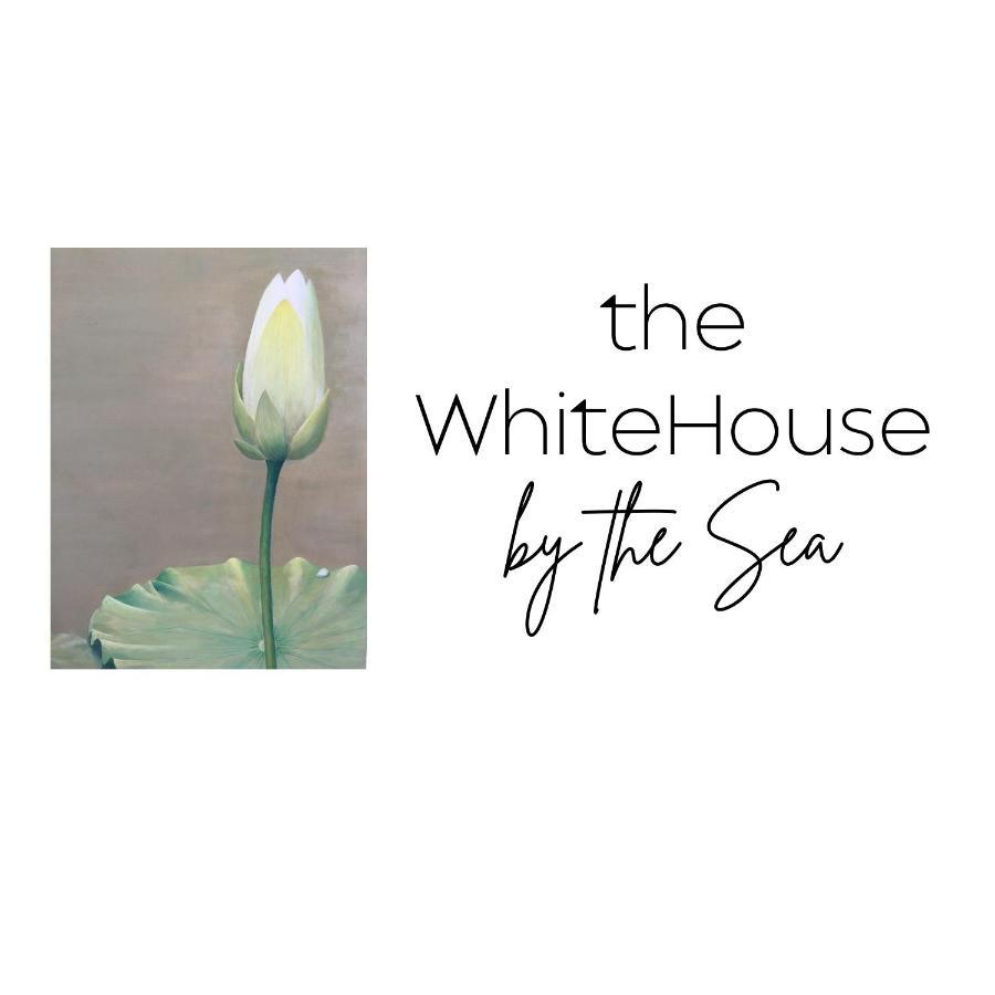 The Whitehouse By The Sea Villa Panglao Exteriör bild