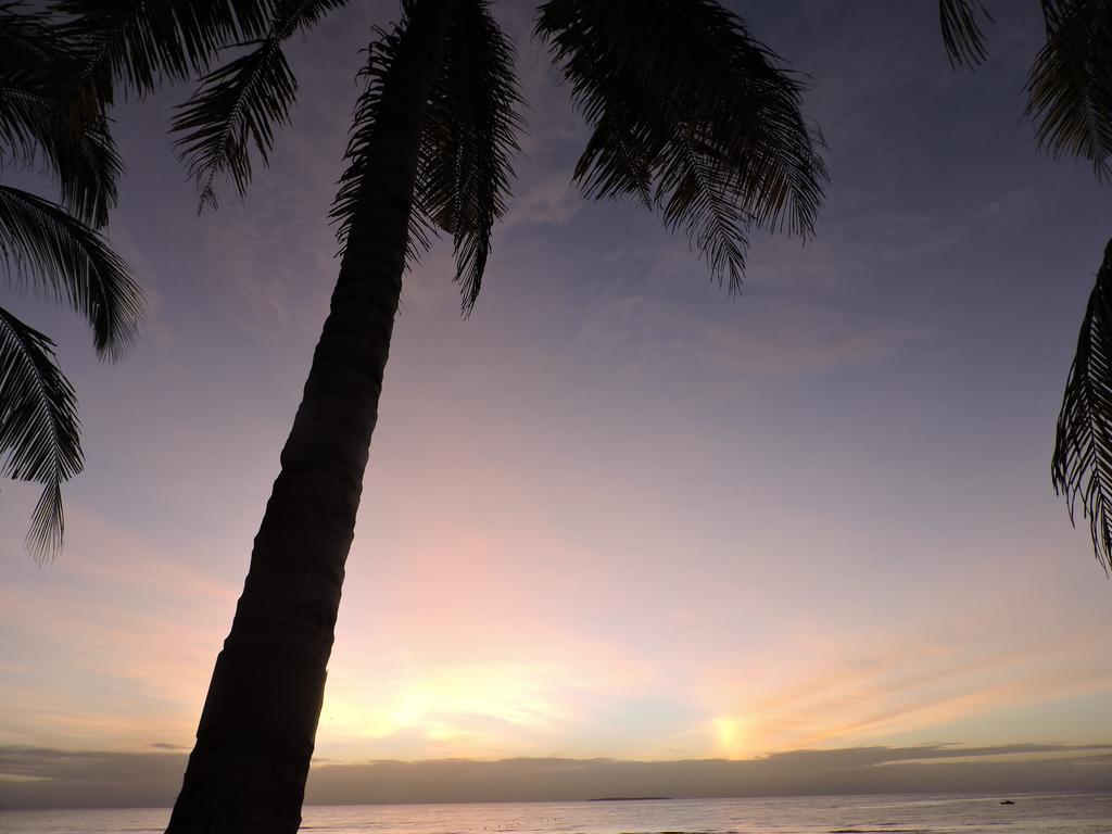 The Whitehouse By The Sea Villa Panglao Exteriör bild