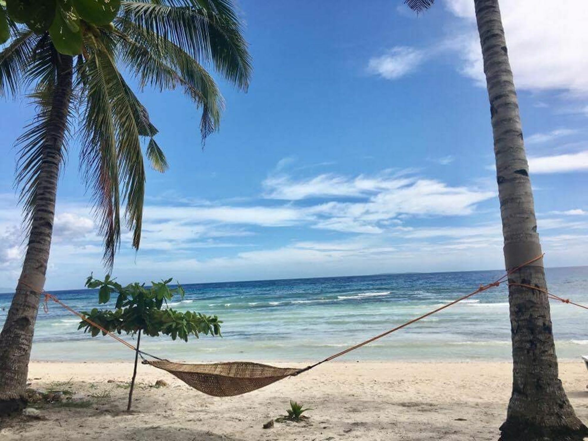 The Whitehouse By The Sea Villa Panglao Exteriör bild